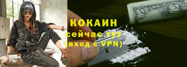 стаф Балахна