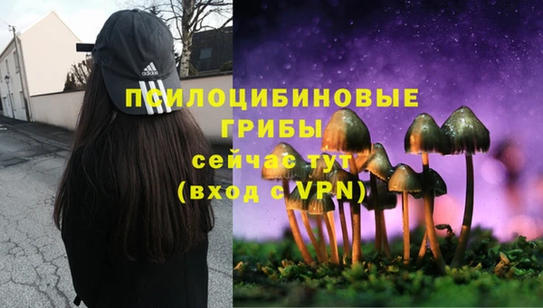 стаф Балахна