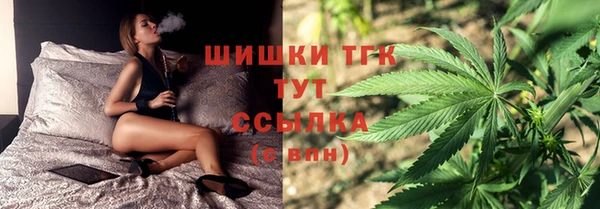 стаф Балахна