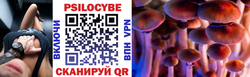 Псилоцибиновые грибы Magic Shrooms Красный Холм