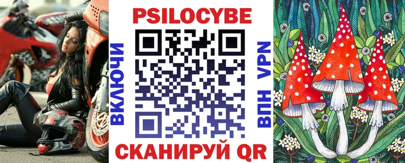 Галлюциногенные грибы Psilocybine cubensis Красный Холм